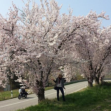 Ferienwohnung Berger Kurparkresidenz باد بيرغزابيرن المظهر الخارجي الصورة